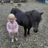 Maddy