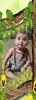 pari