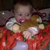 Harley 