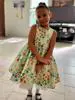 Amiya