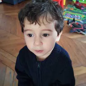 Yanis