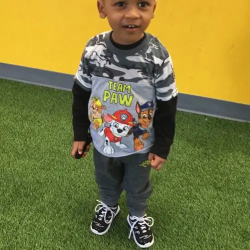 Dennis Taylor Jr