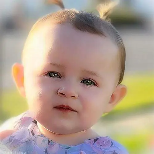 Sophia 